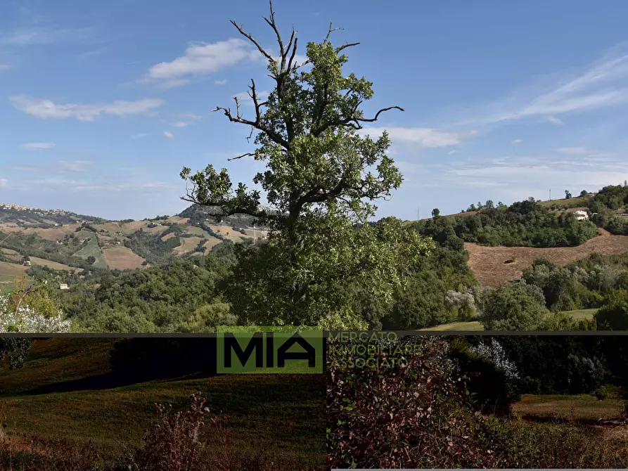 Immagine 27 di Rustico / casale in vendita  in Contrada San Giovanni a Smerillo