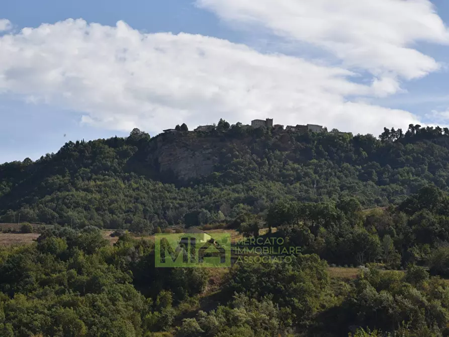 Immagine 29 di Rustico / casale in vendita  in Contrada San Giovanni a Smerillo