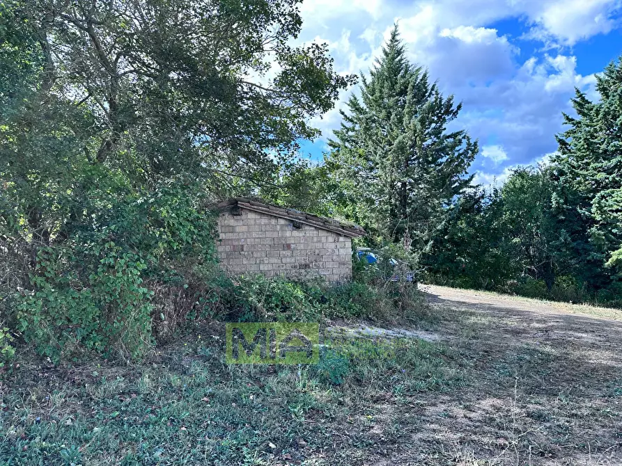 Immagine 24 di Rustico / casale in vendita  in Contrada San Giovanni a Smerillo