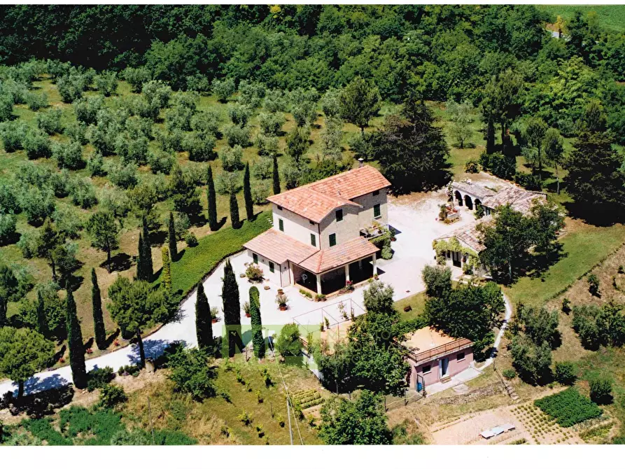 Immagine 1 di Villa in vendita  in Contrada Piagge a Falerone