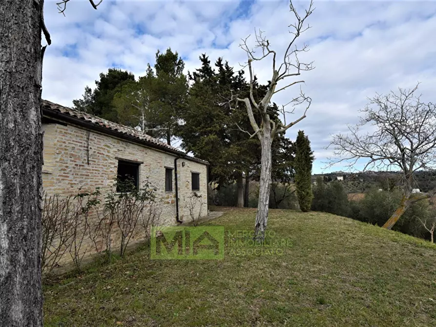 Immagine 18 di Villa in vendita  in Contrada Piagge a Falerone