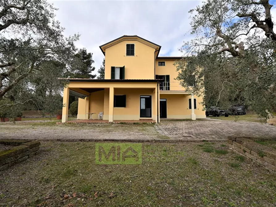 Immagine 6 di Villa in vendita  in Contrada Piagge a Falerone