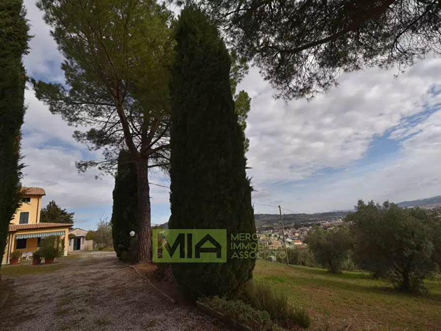 Immagine 13 di Villa in vendita  in Contrada Piagge a Falerone