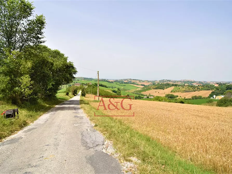 Immagine 1 di Terreno agricolo in vendita  in Contrada Rio del Bove a Torre San Patrizio