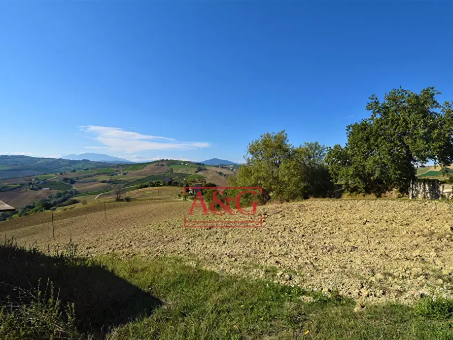 Immagine 2 di Terreno agricolo in vendita  in Via Menocchia a Carassai