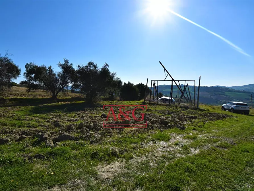 Immagine 3 di Terreno agricolo in vendita  in Via Menocchia a Carassai