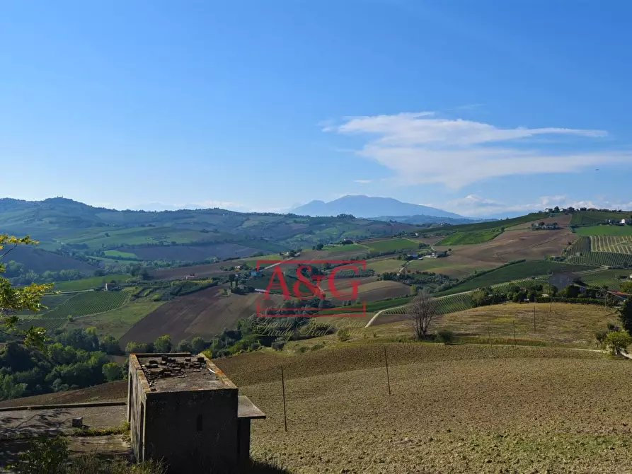 Immagine 4 di Terreno agricolo in vendita  in Via Menocchia a Carassai