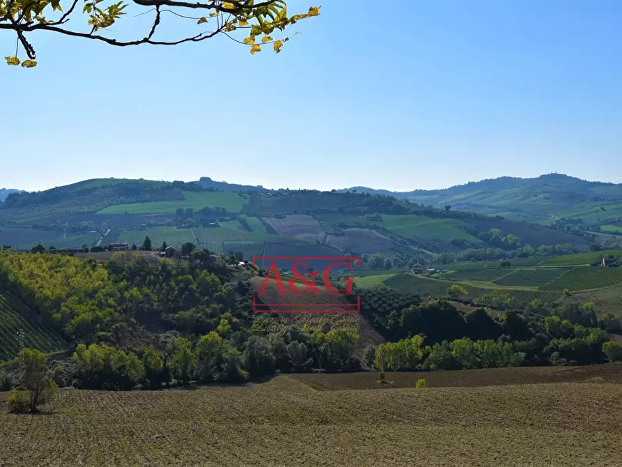 Immagine 6 di Terreno agricolo in vendita  in Via Menocchia a Carassai