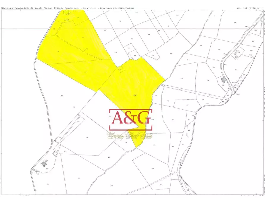 Immagine 7 di Terreno agricolo in vendita  in Via Menocchia a Carassai