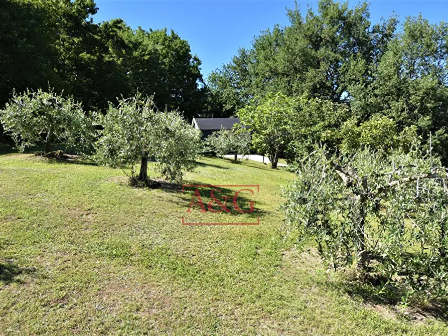 Immagine 29 di Rustico / casale in vendita  in Contrada SANT'IPPOLITO a Amandola