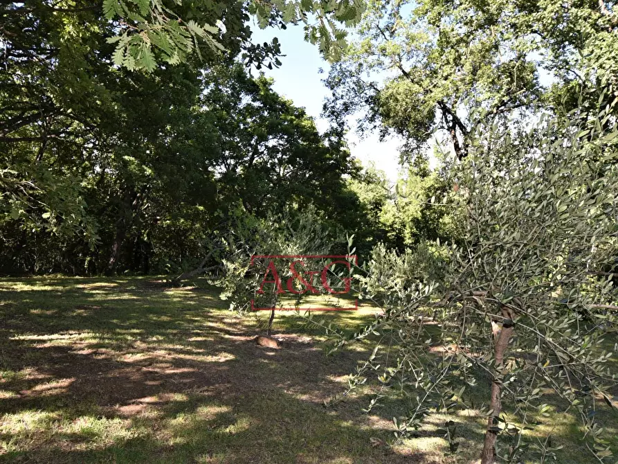 Immagine 30 di Rustico / casale in vendita  in Contrada SANT'IPPOLITO a Amandola