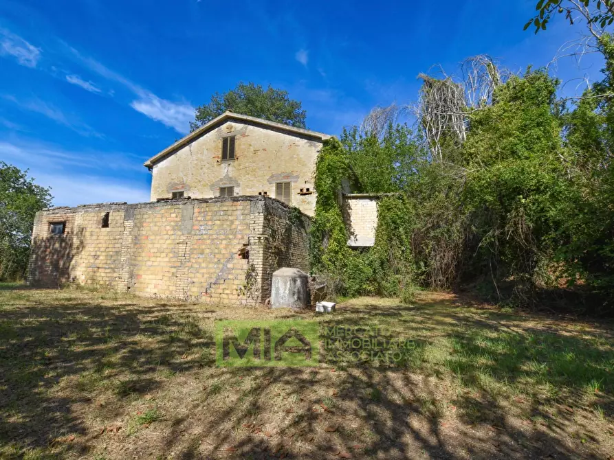 Immagine 5 di Rustico / casale in vendita  in Contrada Franile a Montedinove