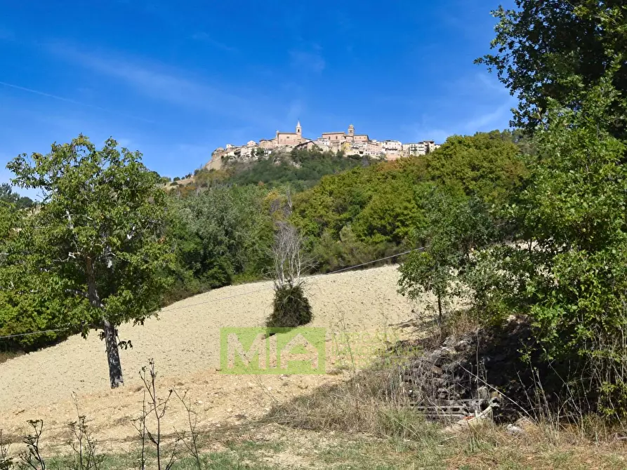 Immagine 6 di Rustico / casale in vendita  in Contrada Franile a Montedinove