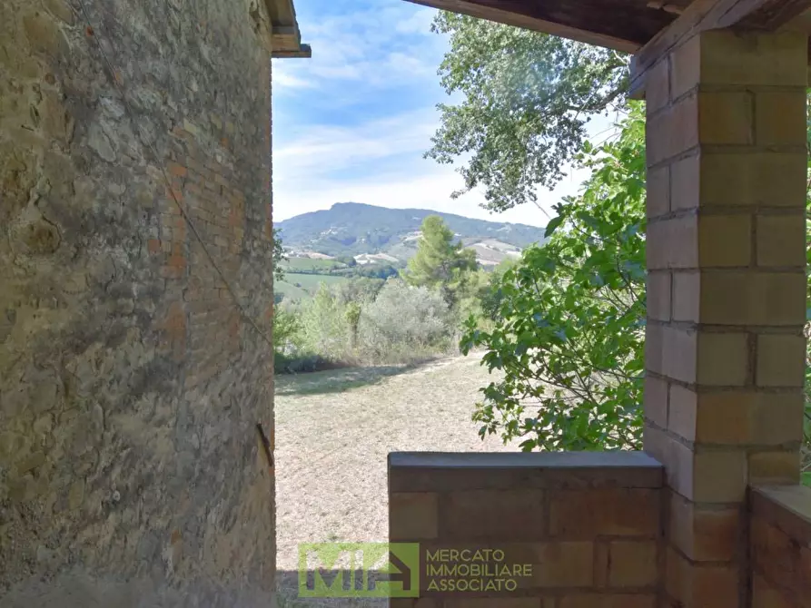 Immagine 10 di Rustico / casale in vendita  in Contrada Franile a Montedinove