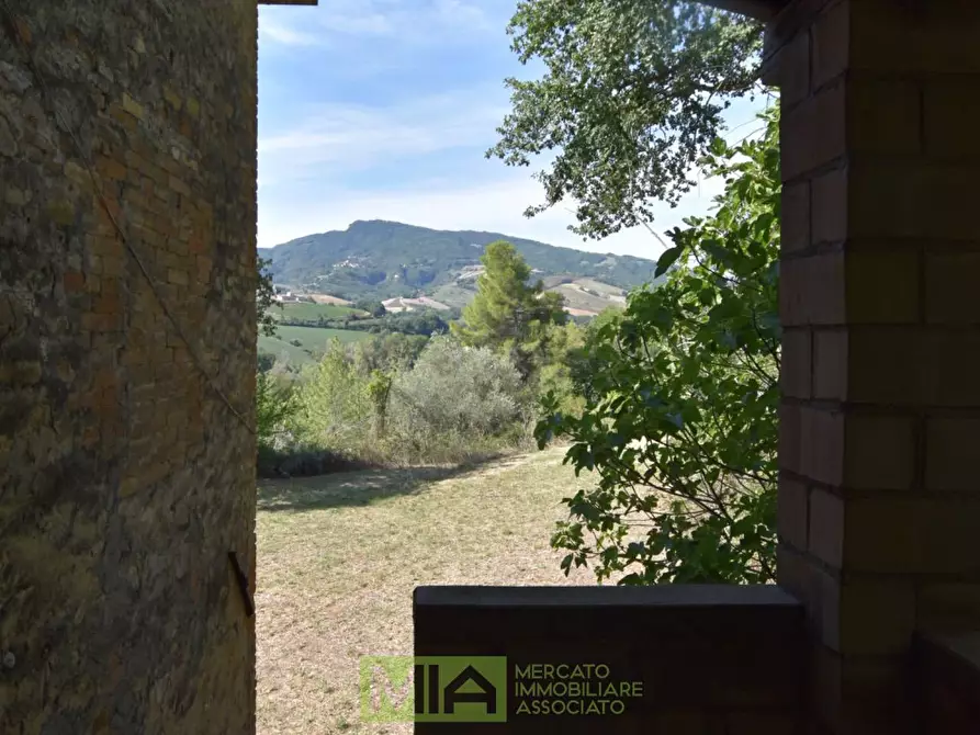 Immagine 11 di Rustico / casale in vendita  in Contrada Franile a Montedinove