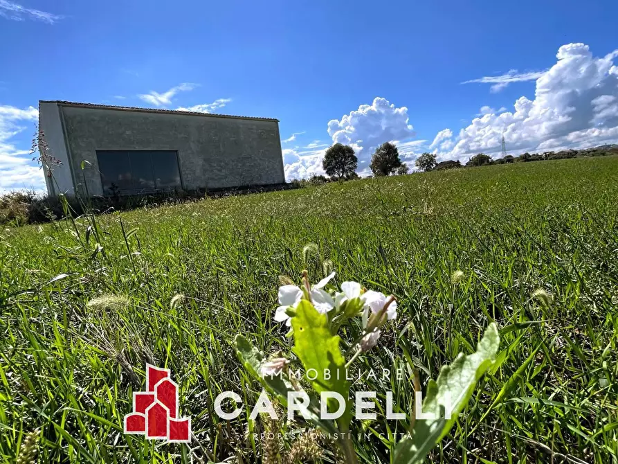 Immagine 2 di Rustico / casale in vendita  a Porto Sant'elpidio