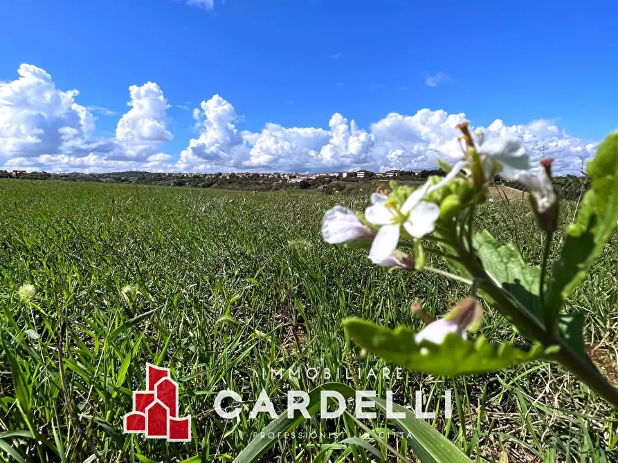 Immagine 22 di Rustico / casale in vendita  a Porto Sant'elpidio