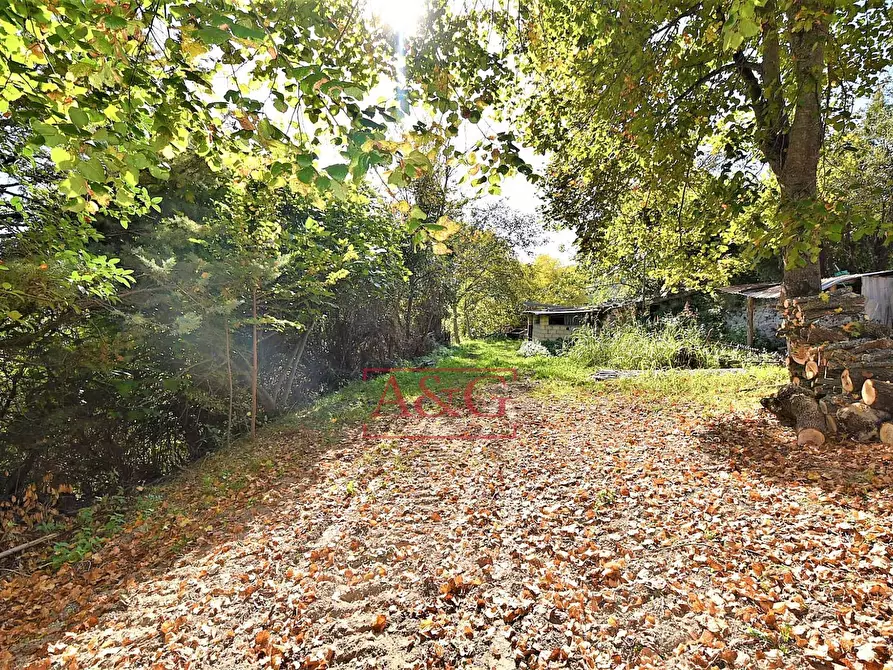 Immagine 20 di Rustico / casale in vendita  in amandola a Amandola