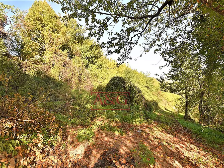 Immagine 21 di Rustico / casale in vendita  in amandola a Amandola