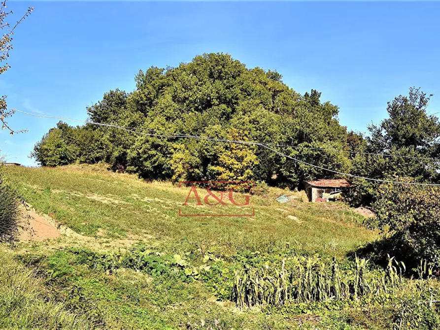 Immagine 27 di Rustico / casale in vendita  in amandola a Amandola