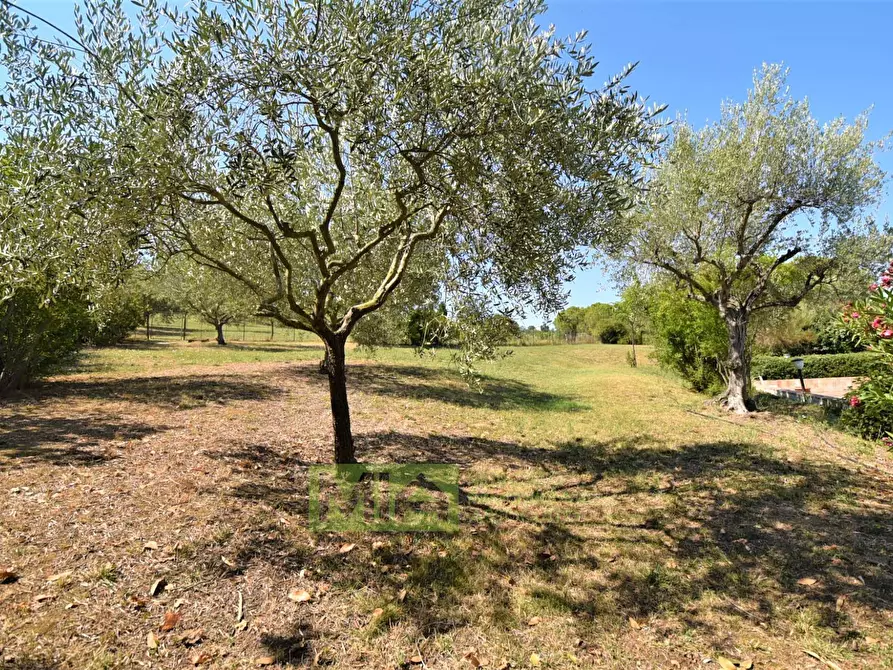 Immagine 27 di Villa in vendita  in Contrada Castelnuovo a Recanati