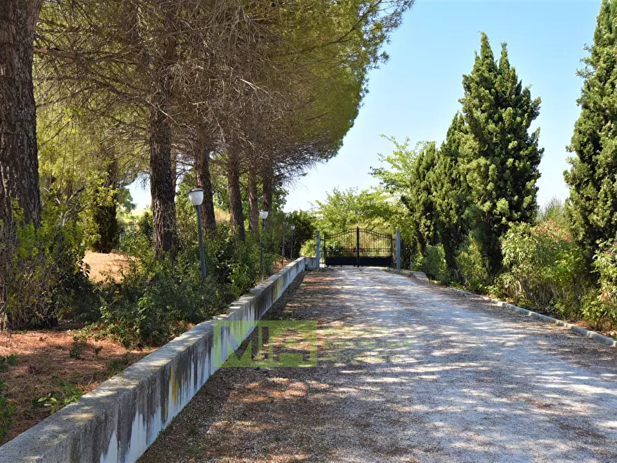 Immagine 18 di Villa in vendita  in Contrada Castelnuovo a Recanati