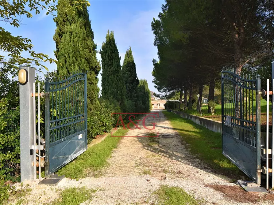 Immagine 13 di Villa in vendita  in Contrada Castelnuovo a Recanati
