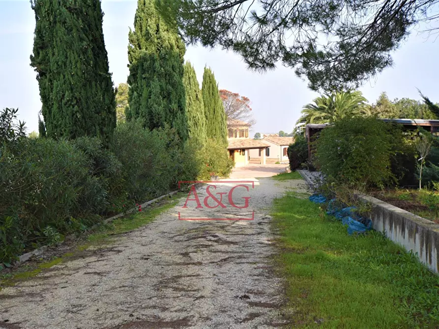 Immagine 14 di Villa in vendita  in Contrada Castelnuovo a Recanati