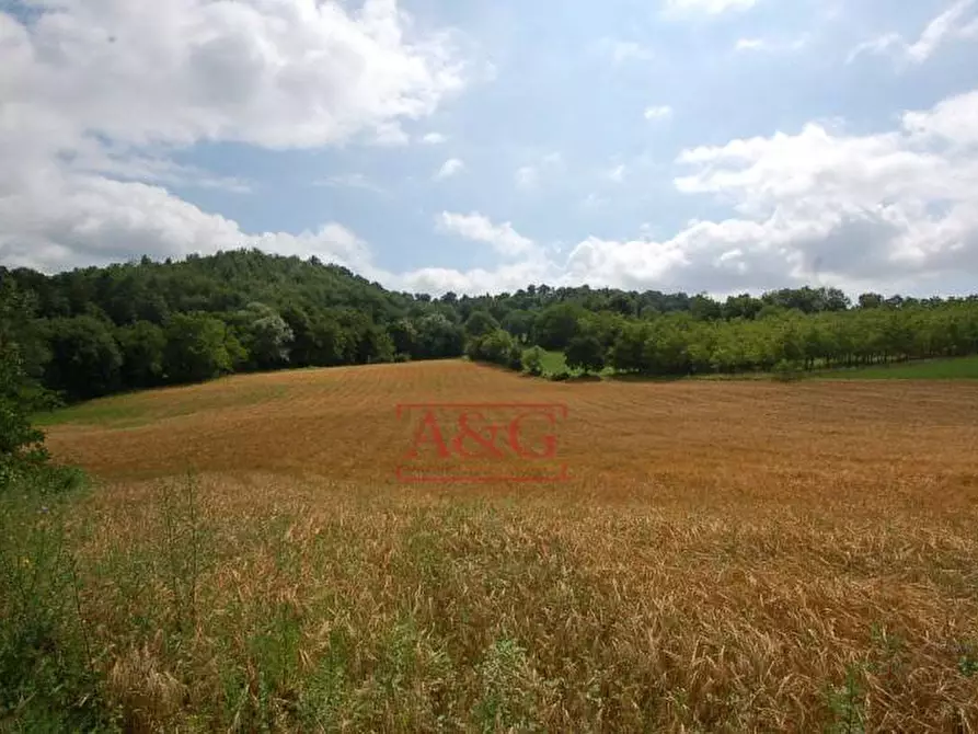 Immagine 10 di Rustico / casale in vendita  in contrada schito a Sarnano