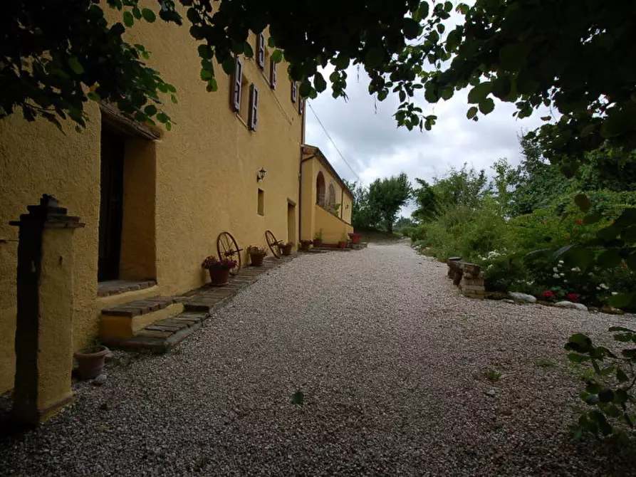 Immagine 4 di Rustico / casale in vendita  in contrada schito a Sarnano
