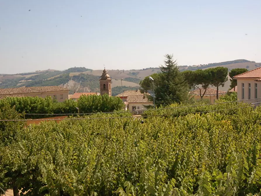 Immagine 10 di Appartamento in vendita  in VIA GASPARE SPONTINI a Ortezzano