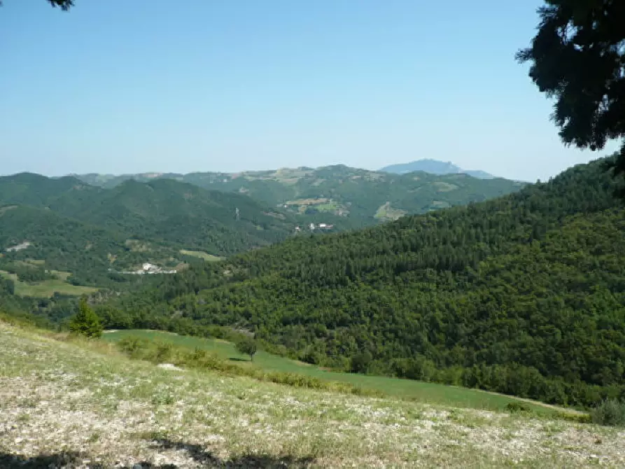 Immagine 19 di Rustico / casale in vendita  in FRAZIONE OSOLI a Roccafluvione
