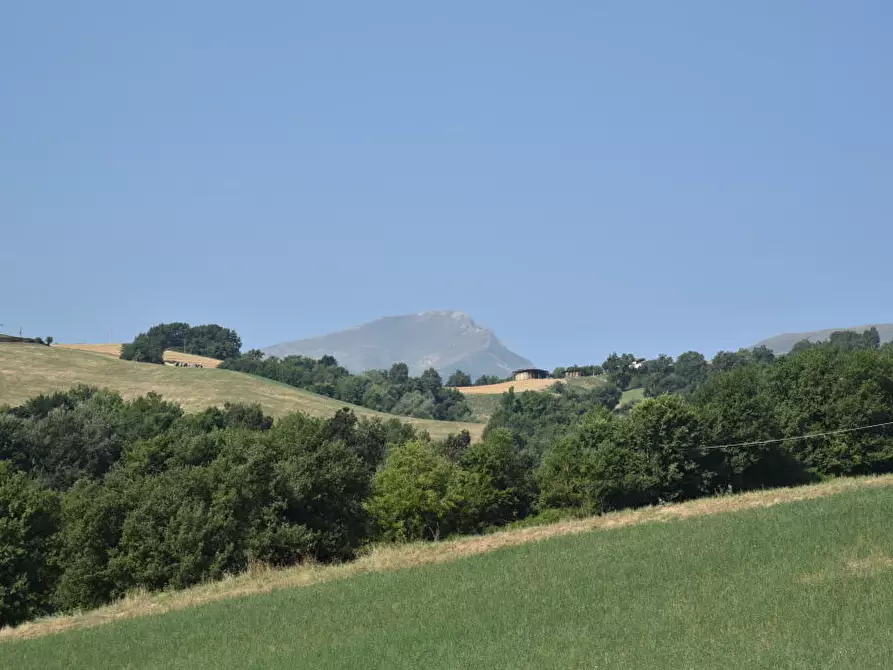 Immagine 20 di Rustico / casale in vendita  a Amandola