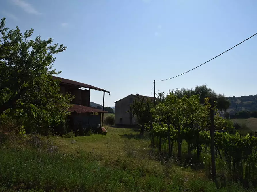 Immagine 21 di Rustico / casale in vendita  a Amandola