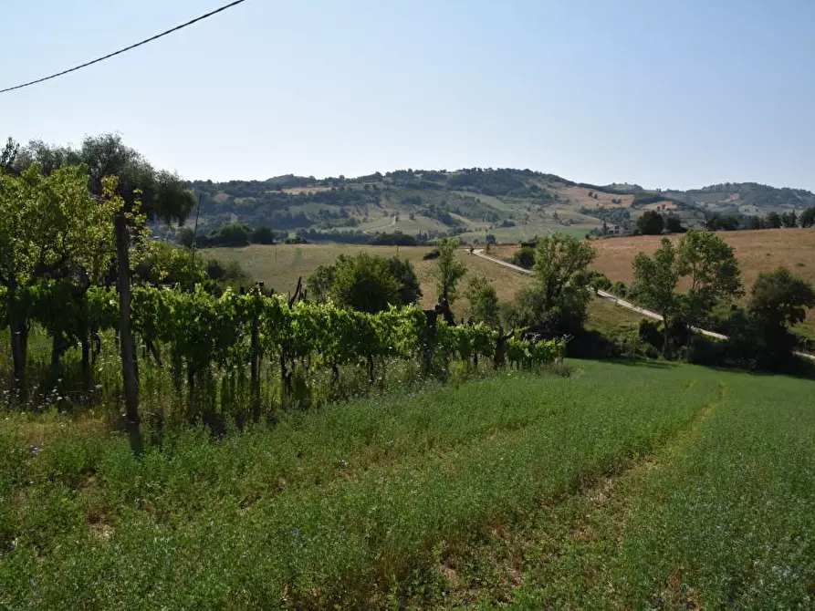 Immagine 22 di Rustico / casale in vendita  a Amandola