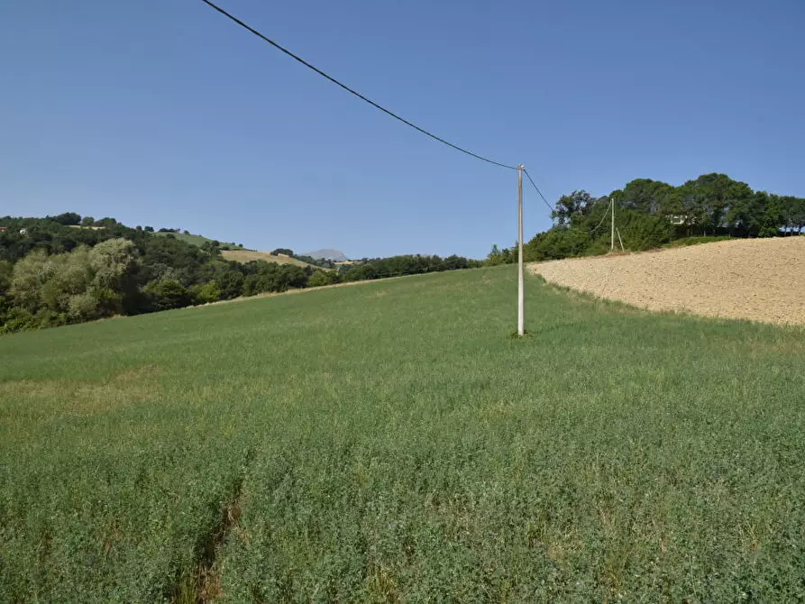 Immagine 23 di Rustico / casale in vendita  a Amandola