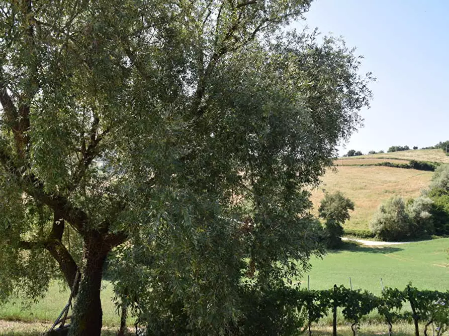 Immagine 28 di Rustico / casale in vendita  a Amandola