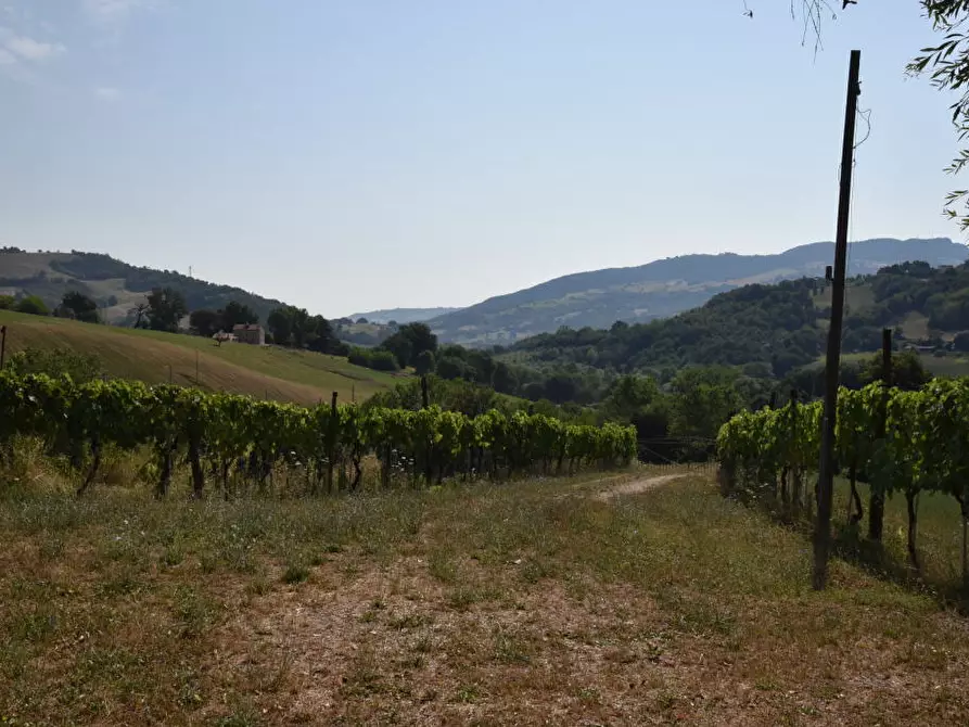 Immagine 30 di Rustico / casale in vendita  a Amandola