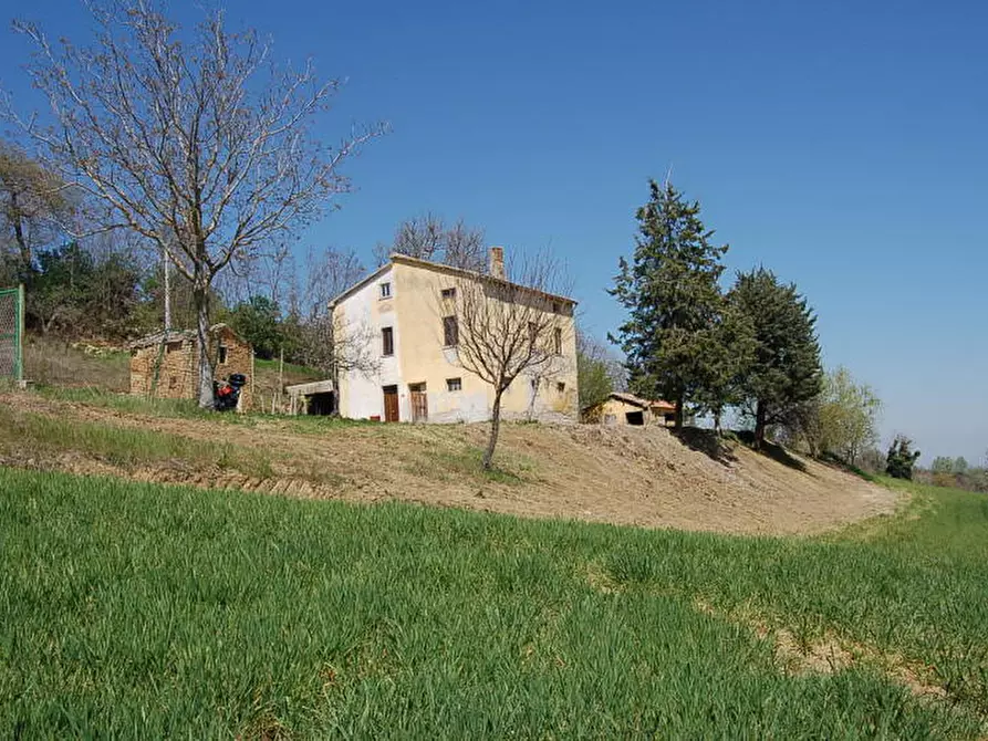 Immagine 3 di Rustico / casale in vendita  in GRAMSCI a Force