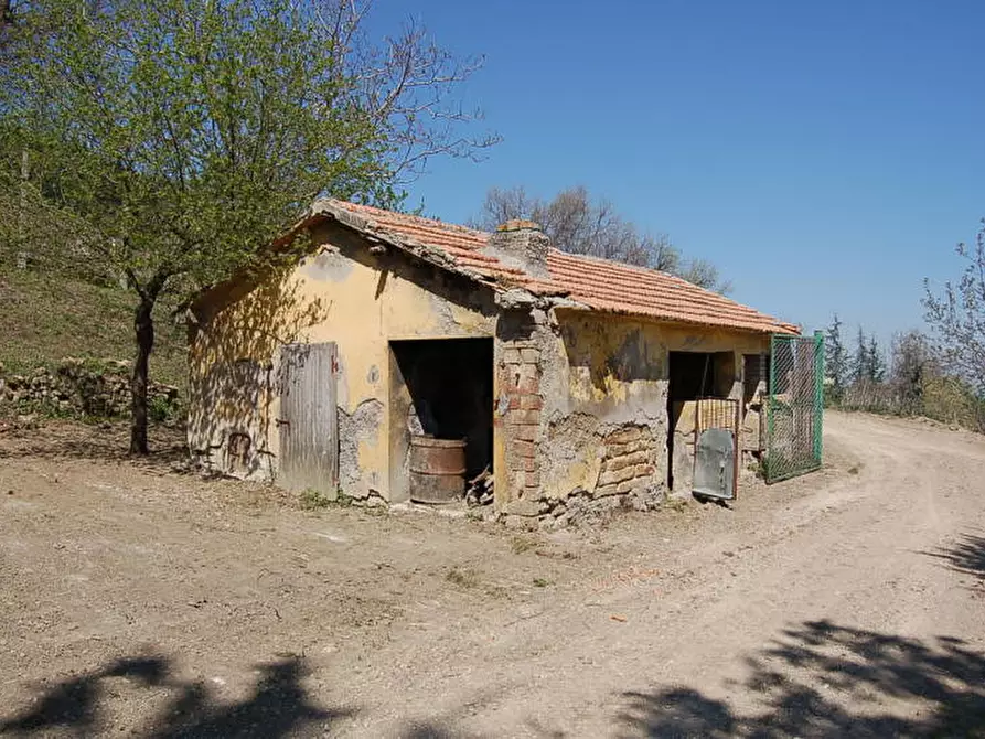 Immagine 7 di Rustico / casale in vendita  in GRAMSCI a Force