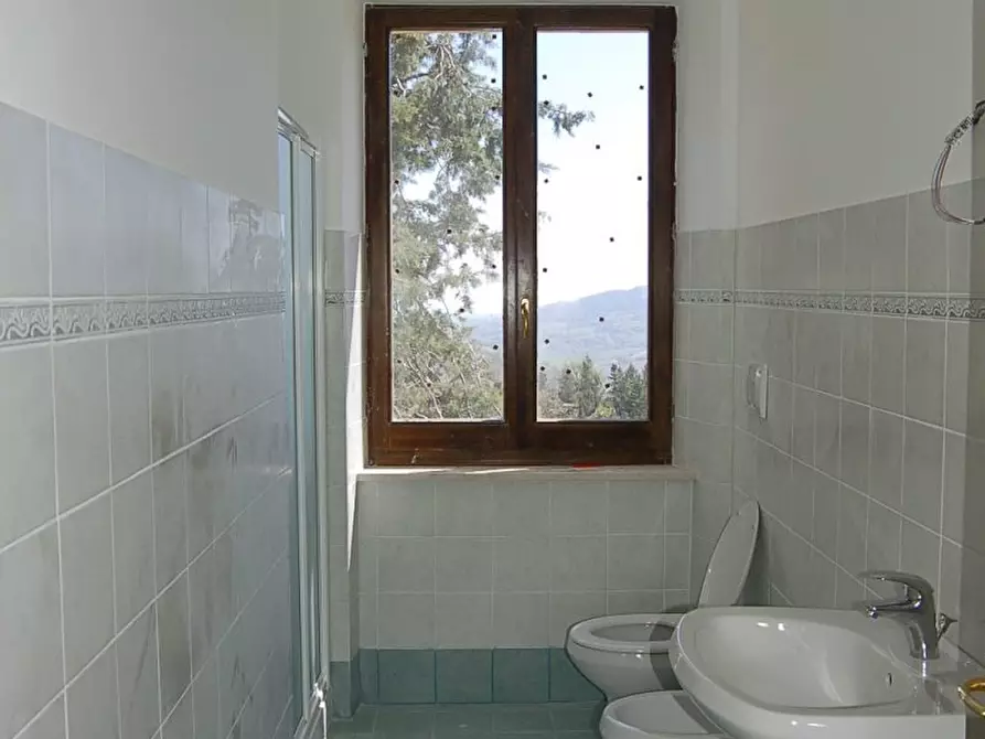 Immagine 9 di Rustico / casale in vendita  in GRAMSCI a Force