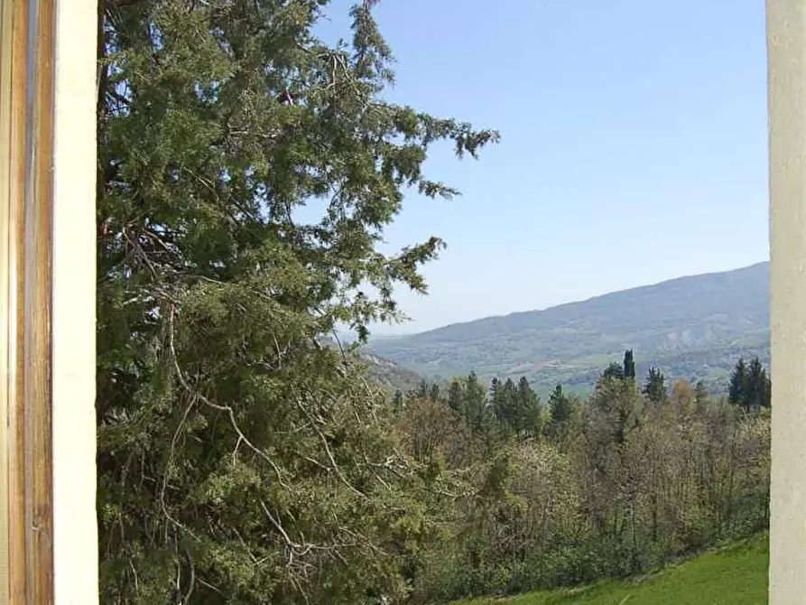 Immagine 13 di Rustico / casale in vendita  in GRAMSCI a Force