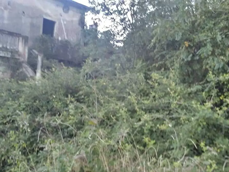 Immagine 3 di Villa in vendita  a Cassino