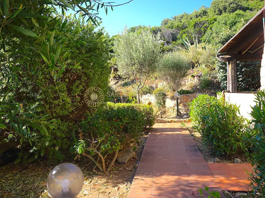 Immagine 12 di Appartamento in vendita  in Via al mare a Trinità D'agultu E Vignola