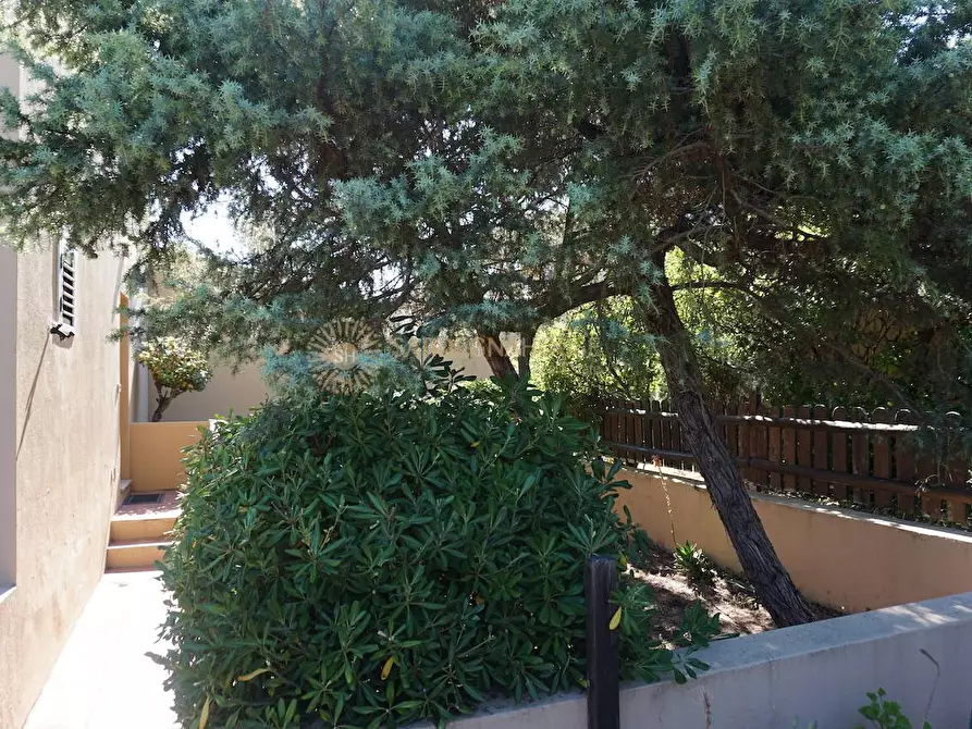 Immagine 15 di Appartamento in vendita  in Via al mare a Trinità D'agultu E Vignola