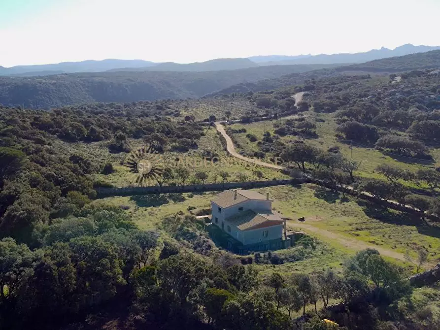 Immagine 1 di Rustico / casale in vendita  a Aglientu