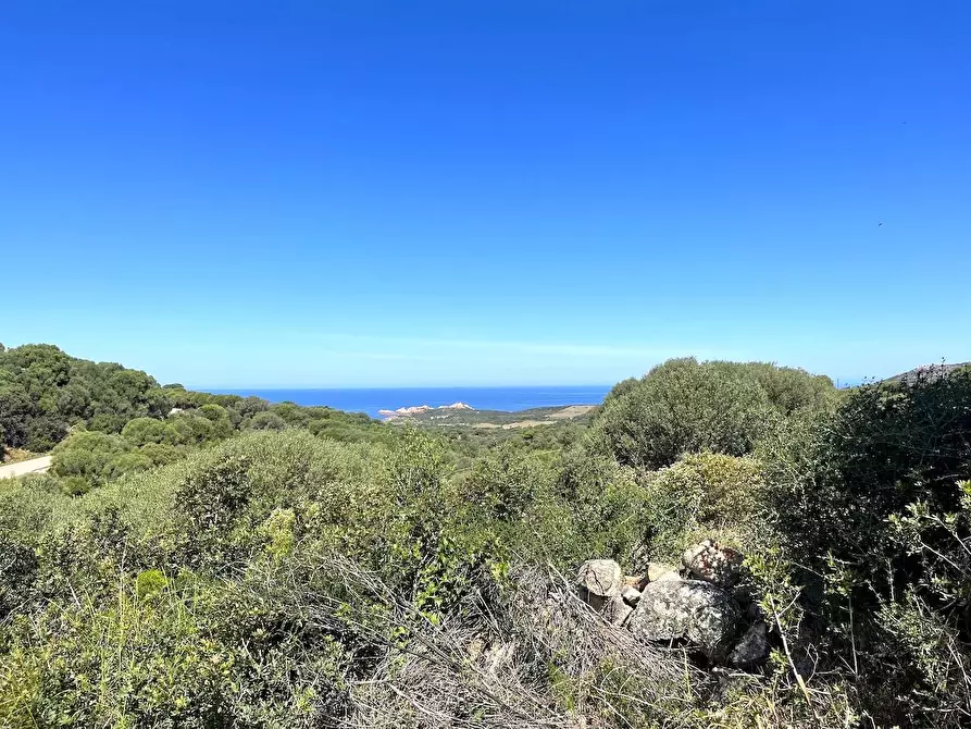 Immagine 24 di Rustico / casale in vendita  in Loc. Paduledda a Trinità D'agultu E Vignola