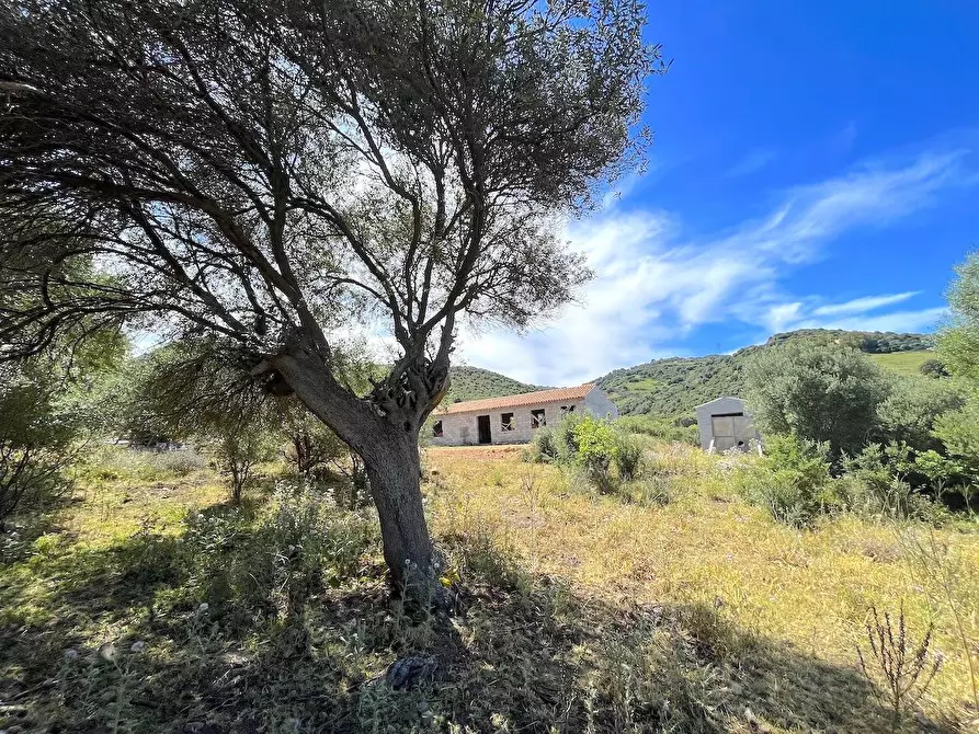 Immagine 29 di Rustico / casale in vendita  in Loc. Paduledda a Trinità D'agultu E Vignola