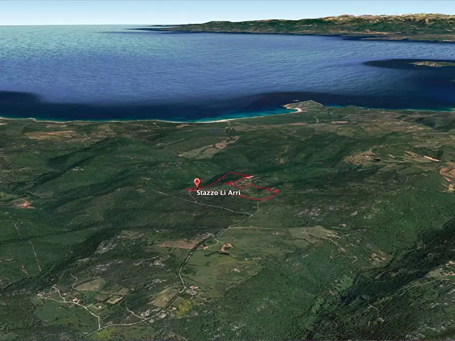 Immagine 2 di Rustico / casale in vendita  a Aglientu