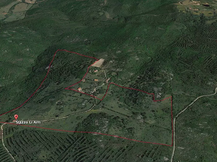 Immagine 3 di Rustico / casale in vendita  a Aglientu